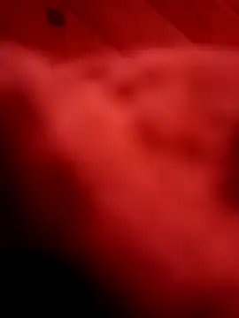 Arabian online show from February 11, 6:01 pm