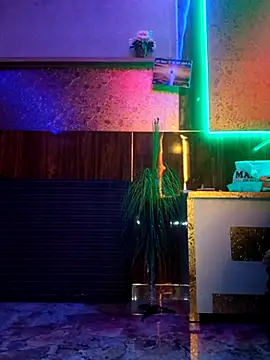 shnaz 1 online show from February 16, 10:54 am