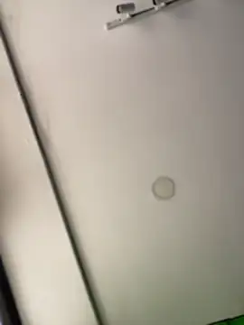 Dulce  Boyd online show from February 14, 2:03 pm