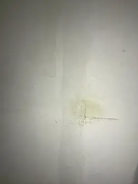 Hamza-Maroki online show from November 21, 10:08 pm