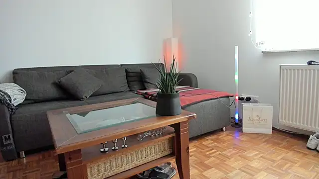 molicaremolicare online show from November 28, 2:20 pm