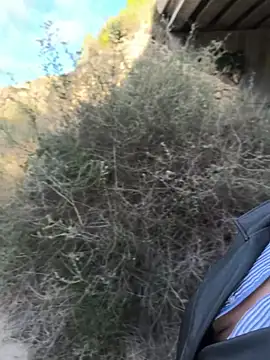 Mona Plus online show from November 3, 7:42 am