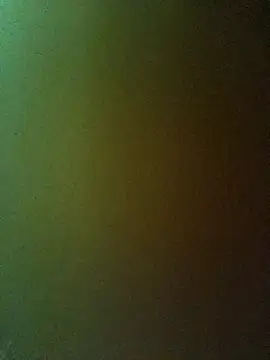 Snapshot of PPP-30 chatting on February 20, 1:40 pm PPP-30 online show from February 20, 1:40 pm