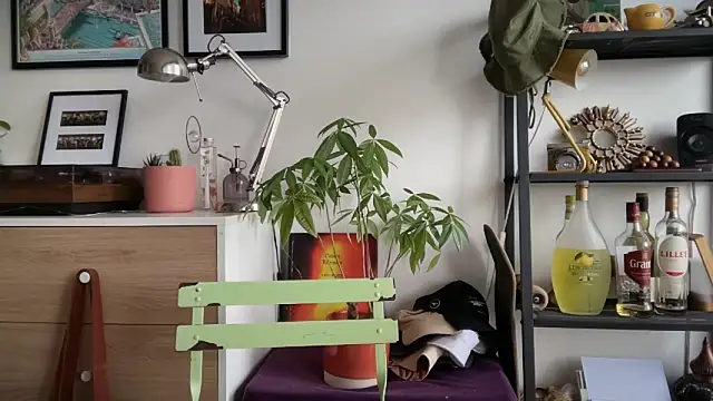 MikymikeBBWD online show from November 22, 1:54 pm