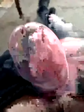 mar4oto1 online show from March 14, 11:37 am