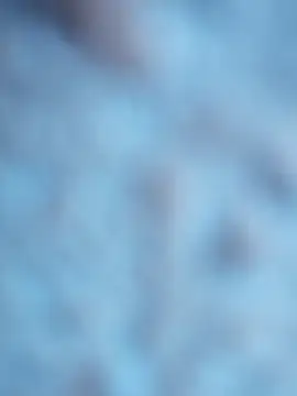 maialani online show from October 6, 9:07 am