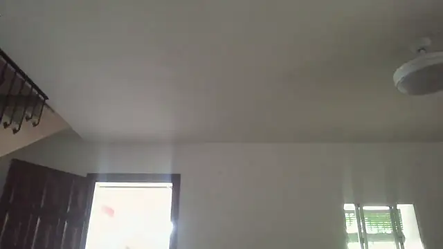 llopaco online show from June 27, 10:31 am