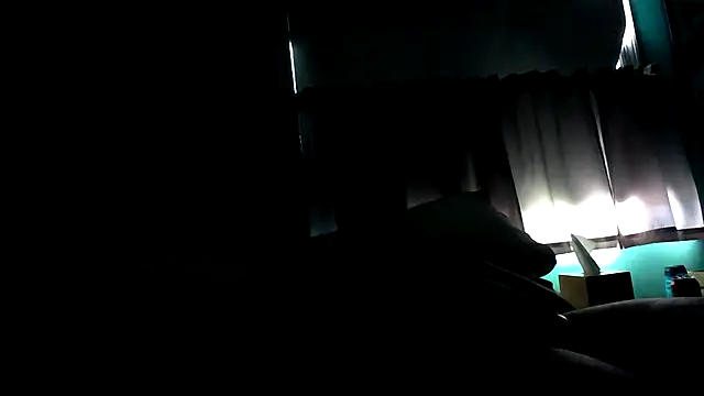 Novabear6996 online show from February 26, 2:03 pm