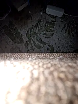 Snapshot of DerechteJunge chatting on December 13, 11:43 pm DerechteJunge online show from December 13, 11:43 pm