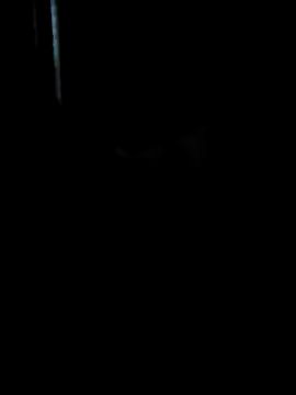 Snapshot of Ruanie chatting on April 13, 7:03 am Ruanie online show from April 13, 7:03 am