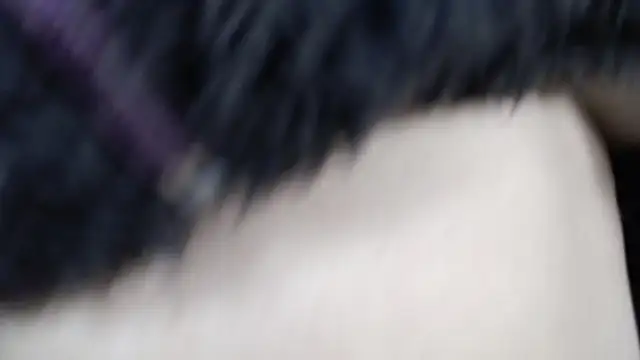 amy royale online show from March 18, 5:31 am