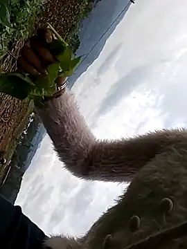 hebe-02 online show from October 26, 5:24 am