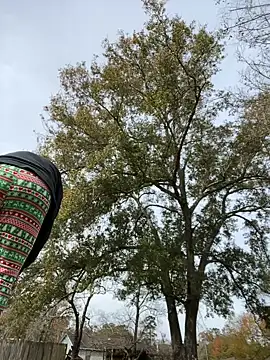 HTXBELLE online show from December 16, 5:07 pm