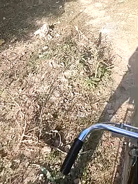 Snapshot of bairobunde chatting on February 7, 4:16 am bairobunde online show from February 7, 4:16 am