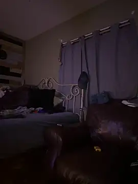 Polaroid White online show from March 4, 6:47 am