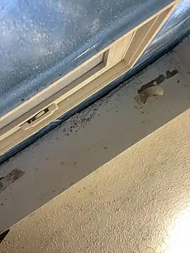 Snapshot of YODAPESOS chatting on February 23, 12:57 pm YODAPESOS online show from February 23, 12:57 pm