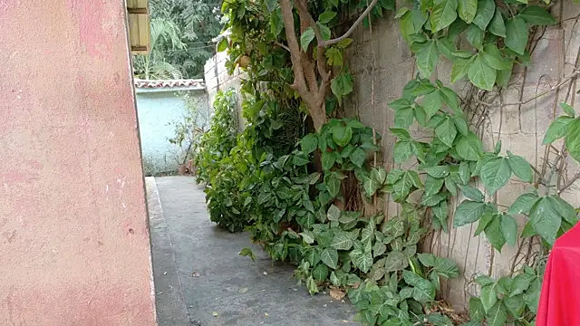 twinks 28 online show from January 17, 8:45 pm