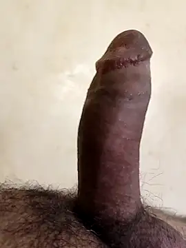 alkhabiir online show from January 11, 1:16 pm