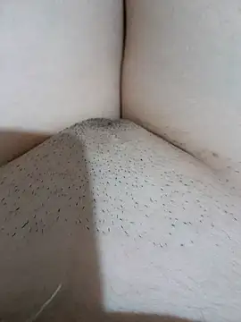 yakot7 online show from September 26, 12:58 am