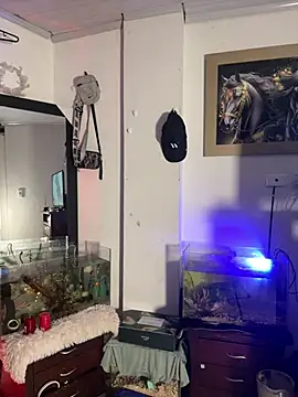 CRAZY-BOY99 online show from January 11, 7:57 am