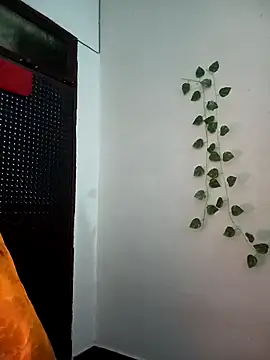 Neha-Bhabhi-Rasily online show from November 27, 5:20 am