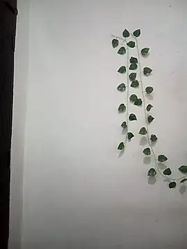 Neha-Bhabhi-Rasily online show from March 25, 5:24 am