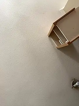 Flacovergon26 online show from January 14, 5:51 pm