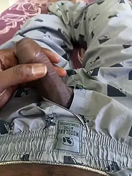 Tn localboy69 online show from September 29, 2:16 am