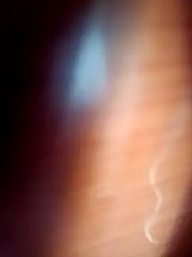 gordiricosv online show from February 14, 9:44 pm