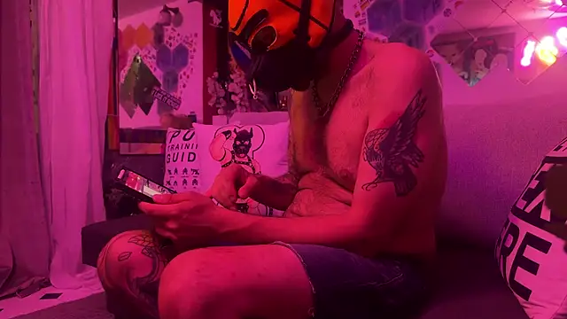 Snapshot of danix_wild_wolf chatting on June 2, 2:57 am danix wild wolf online show from June 2, 2:57 am