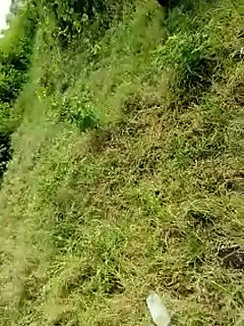 himvilohi08 online show from October 6, 4:10 am