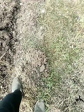 himvilohi08 online show from January 18, 4:05 am