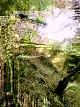 himvilohi08 online show from March 16, 3:23 am