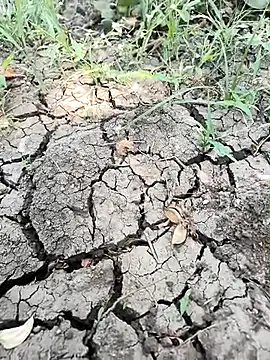 himvilohi08 online show from April 1, 5:08 am