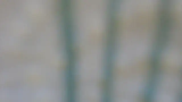 RobertaFox69 online show from December 6, 4:49 pm