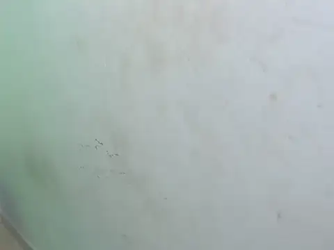 dirty megan22 online show from March 23, 2:59 am