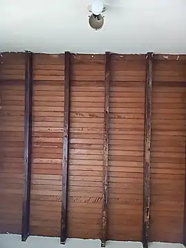 Sexi girl29 online show from November 17, 8:58 pm