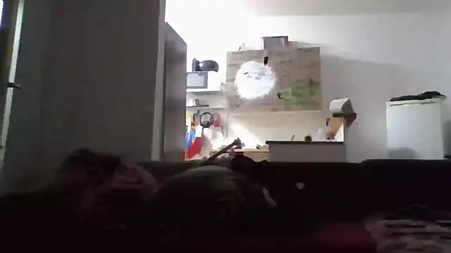 ThePython666 online show from November 17, 5:08 pm