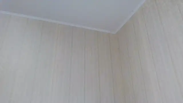  Black-Panther  online show from October 2, 10:55 am