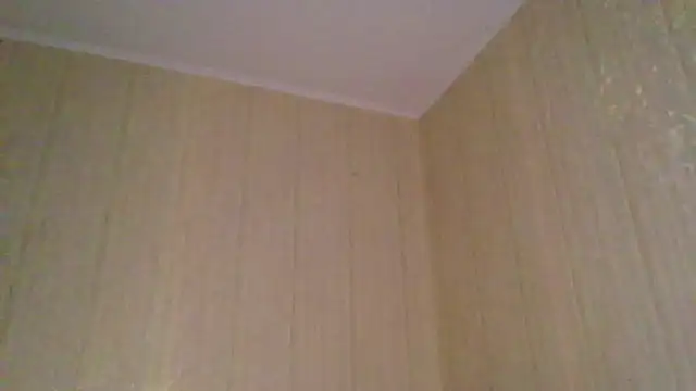  Black-Panther  online show from November 12, 2:06 pm