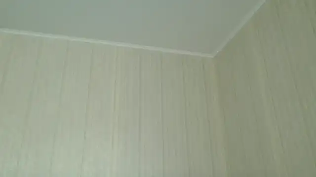  Black-Panther  online show from April 25, 7:55 am