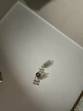 maar tina online show from October 13, 9:59 pm