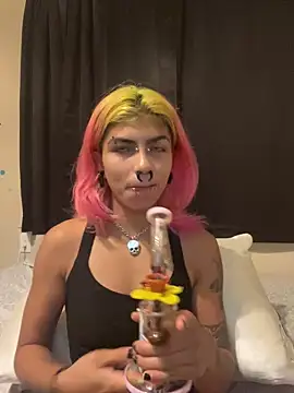 Harley cams online show from September 10, 12:43 am