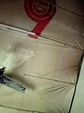 adrija94 online show from November 22, 4:11 am