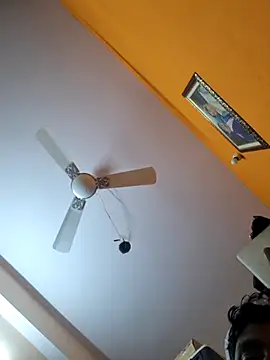 hot integer online show from November 27, 2:24 am