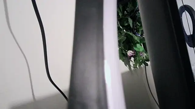 cherryboom23 online show from March 19, 7:18 pm