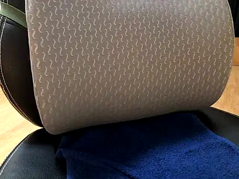 Snapshot of WhitePath chatting on March 20, 2:42 pm WhitePath online show from March 20, 2:42 pm