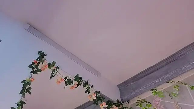 MilleyJones online show from December 20, 8:16 pm