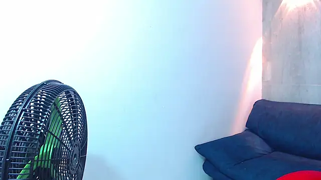 black king 241 online show from November 1, 3:41 am