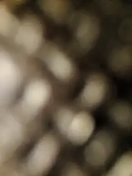 geilerschwanz556r7 online show from September 30, 8:52 am